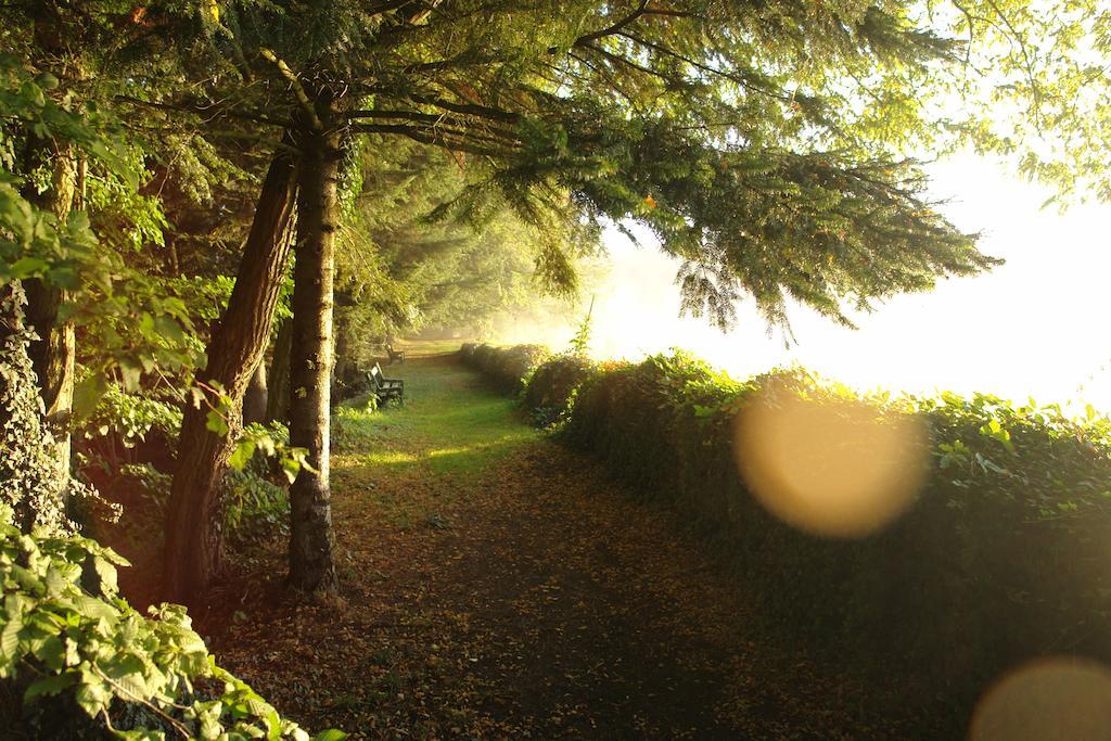 Отель Le Troncais Saint-Bonnet-Troncais Экстерьер фото